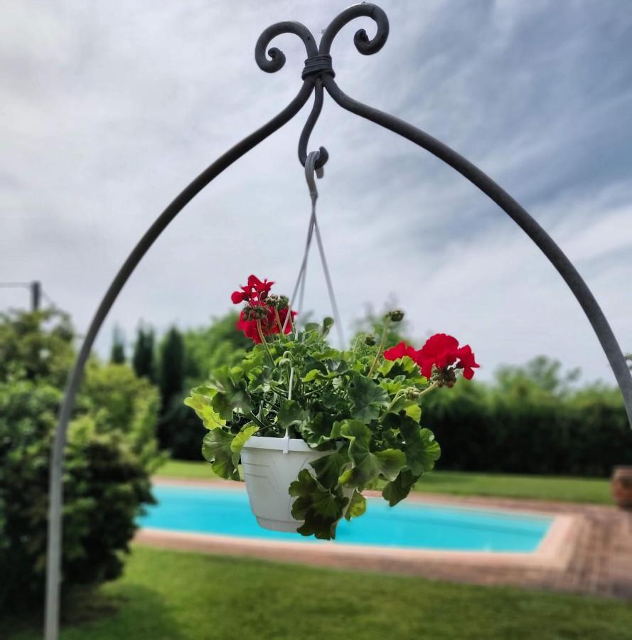 B&B Il Casolare Di Bonci Santa Maria a Monte Bagian luar foto