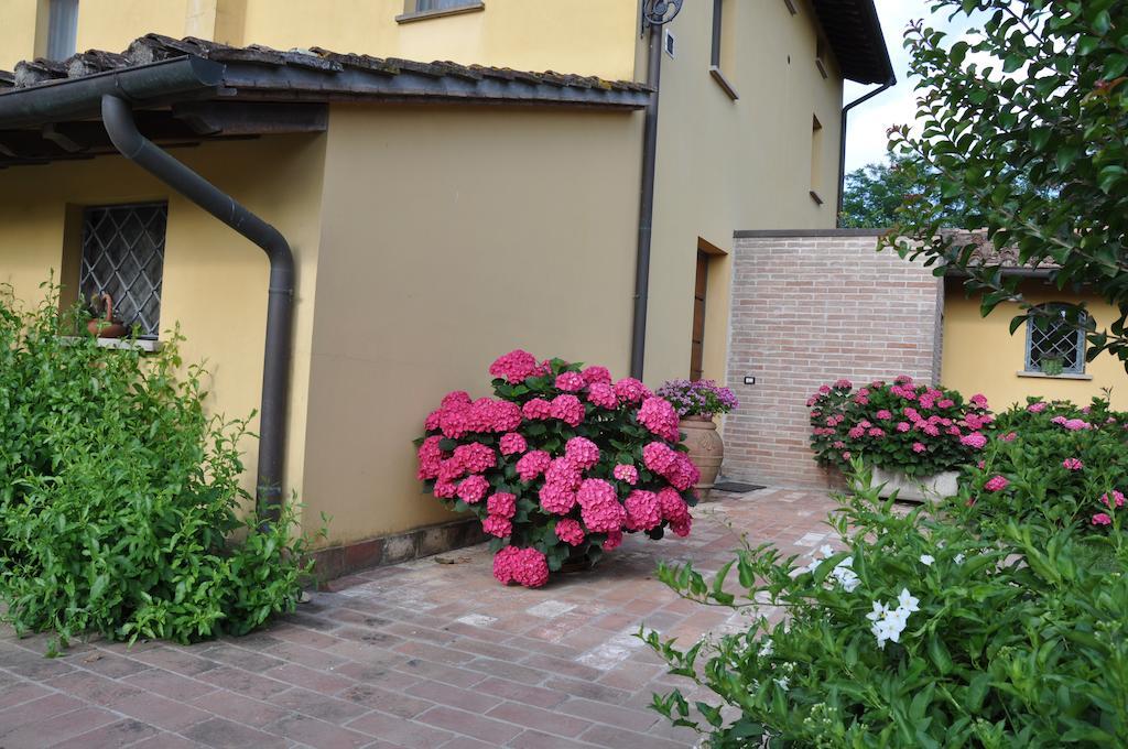 B&B Il Casolare Di Bonci Santa Maria a Monte Bagian luar foto